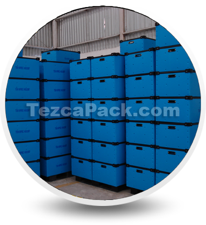 tezca pack monterrey