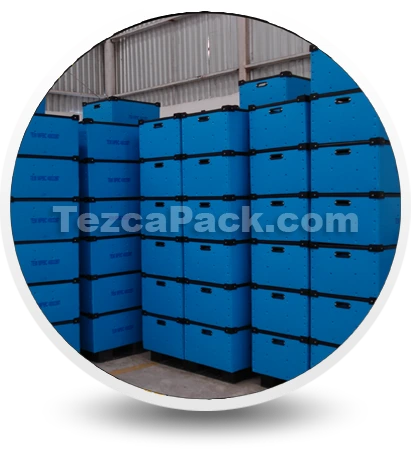 tezca pack monterrey